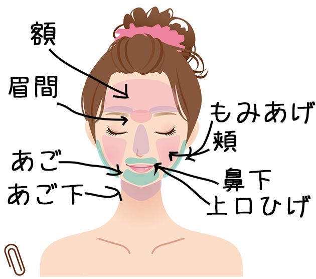 顔脱毛の照射範囲