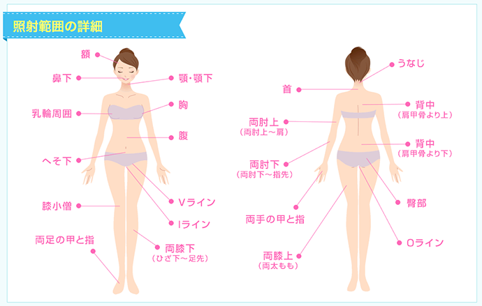 湘南の全身脱毛部位